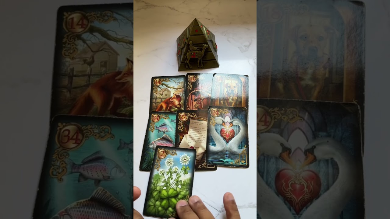 Read more about the article O que vai acontecer na sua vida em até 48 horas? | Tarot Responde! #tarot #tarotonline #tarotdehoje