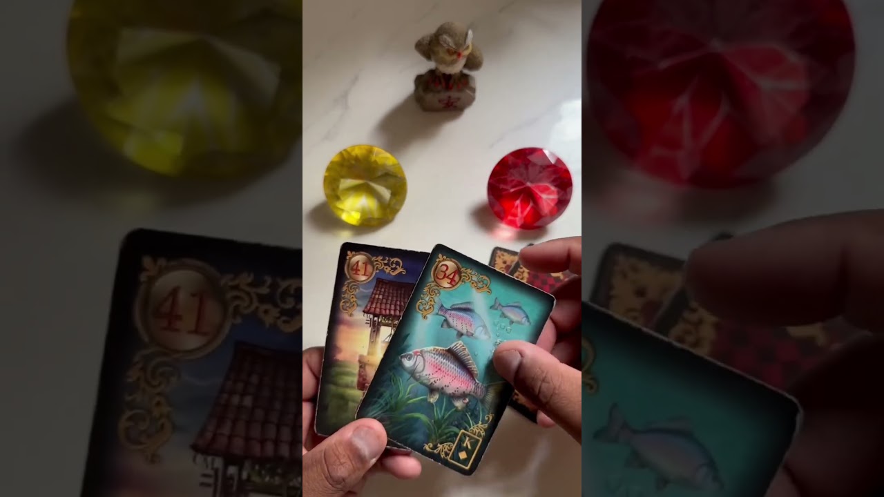 Read more about the article O que você deve fazer pra melhorar a sua vida? | Tarot do Amor ❤️ #tarot #tarô #taro #tarotdehoje