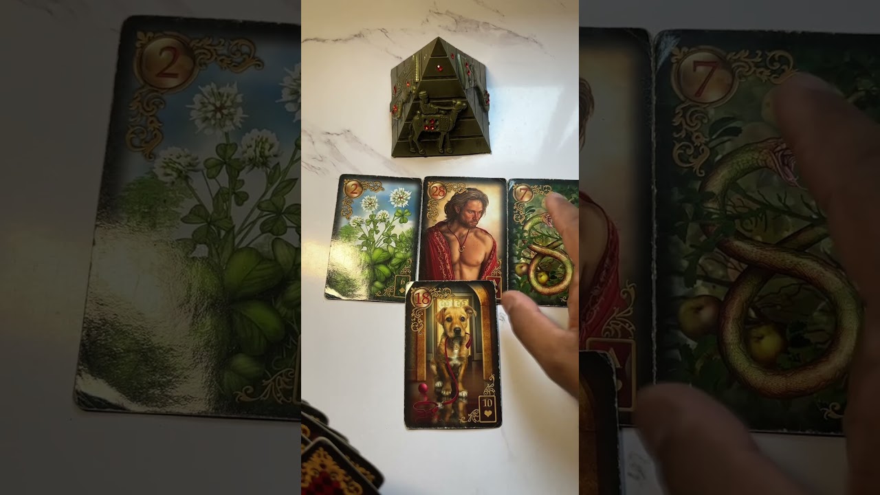 Read more about the article #tarot #cartomante #taro #tarotreading #tarot #leituradetarot #tarotreader #tarocards #tarotonline