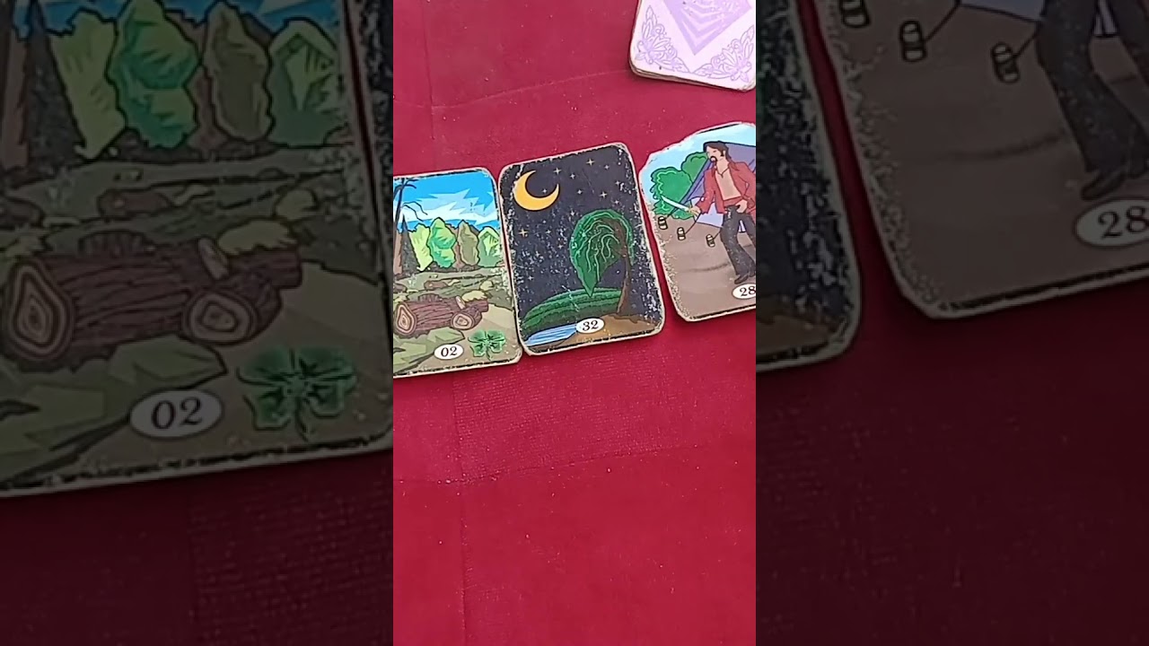 Read more about the article TAROT ECONÔMICO #tarot #tarotreading #fy #fyp #tarot #baralhocigano #tarothoje #tarotresponde #taro