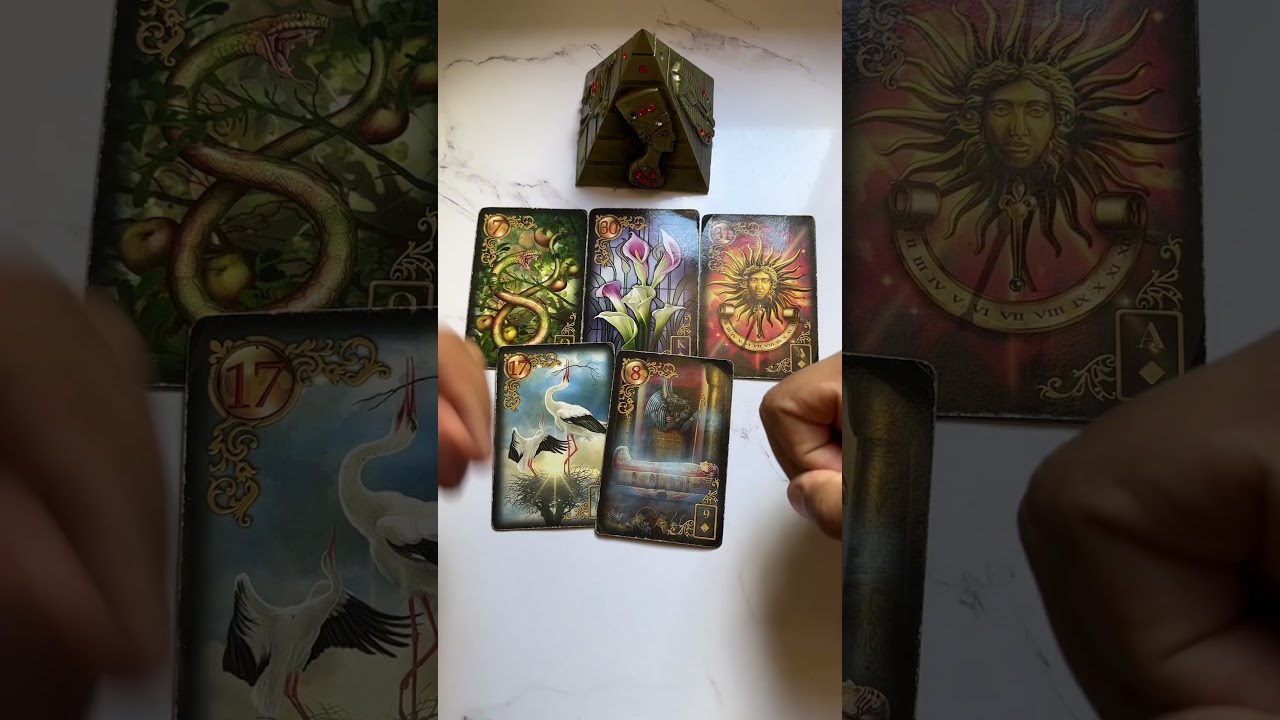Read more about the article Você deve ir atrás dessa pessoa? | Tarot de Hoje #tarot #shorts  #tarotdehoje #tarothoje