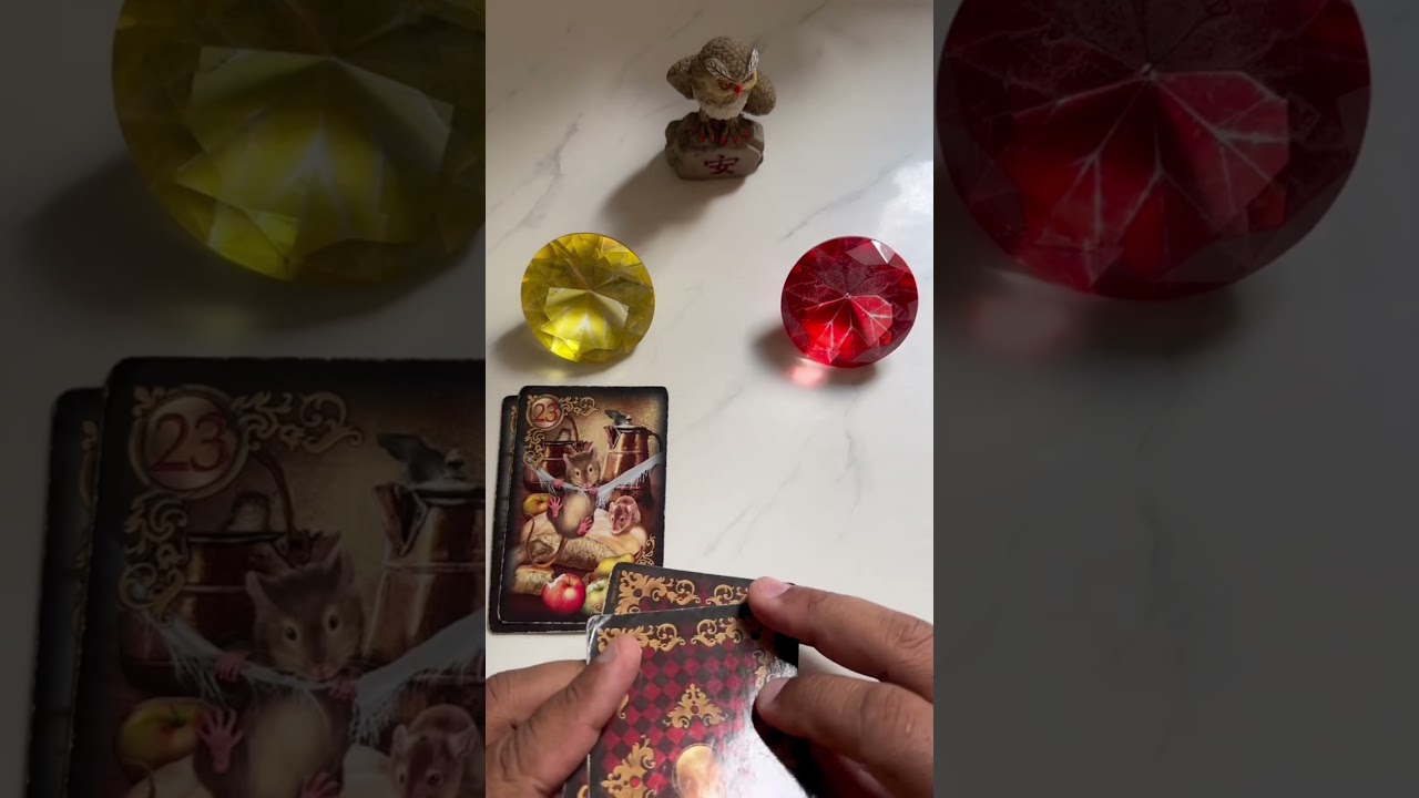 Read more about the article Você vai ter felicidade que deseja? | Tarot do Amor ❤️ #tarot #tarô #taro #tarotdehoje