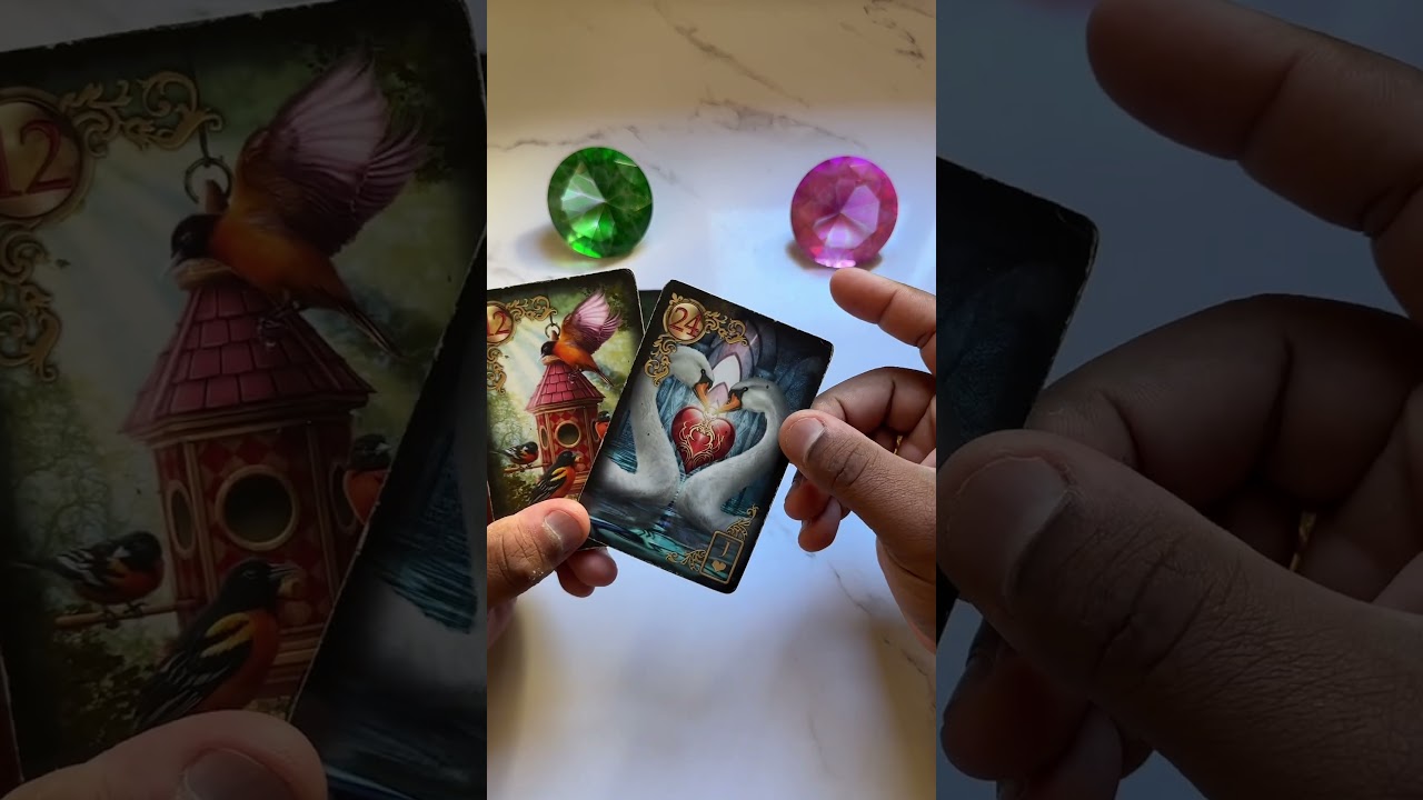 Read more about the article Amor novo ou amor do passado? | Tarot de Hoje #tarot  #tarotdehoje #tarothoje