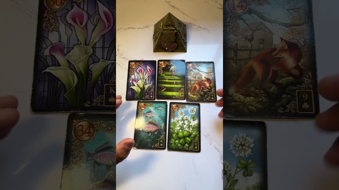 Read more about the article Você deve arriscar ficar com ele(a)? ✨Tarot Responde ⚡️#tarot #tarotreading #tarotdehoje