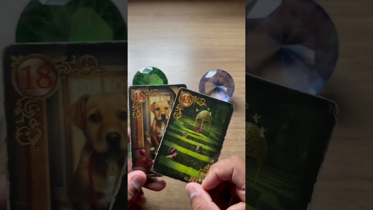 Read more about the article Ele está cheio de ciúmes! | Tarot #tarotdoamor  #tarot #tarotdehoje #tarotreading
