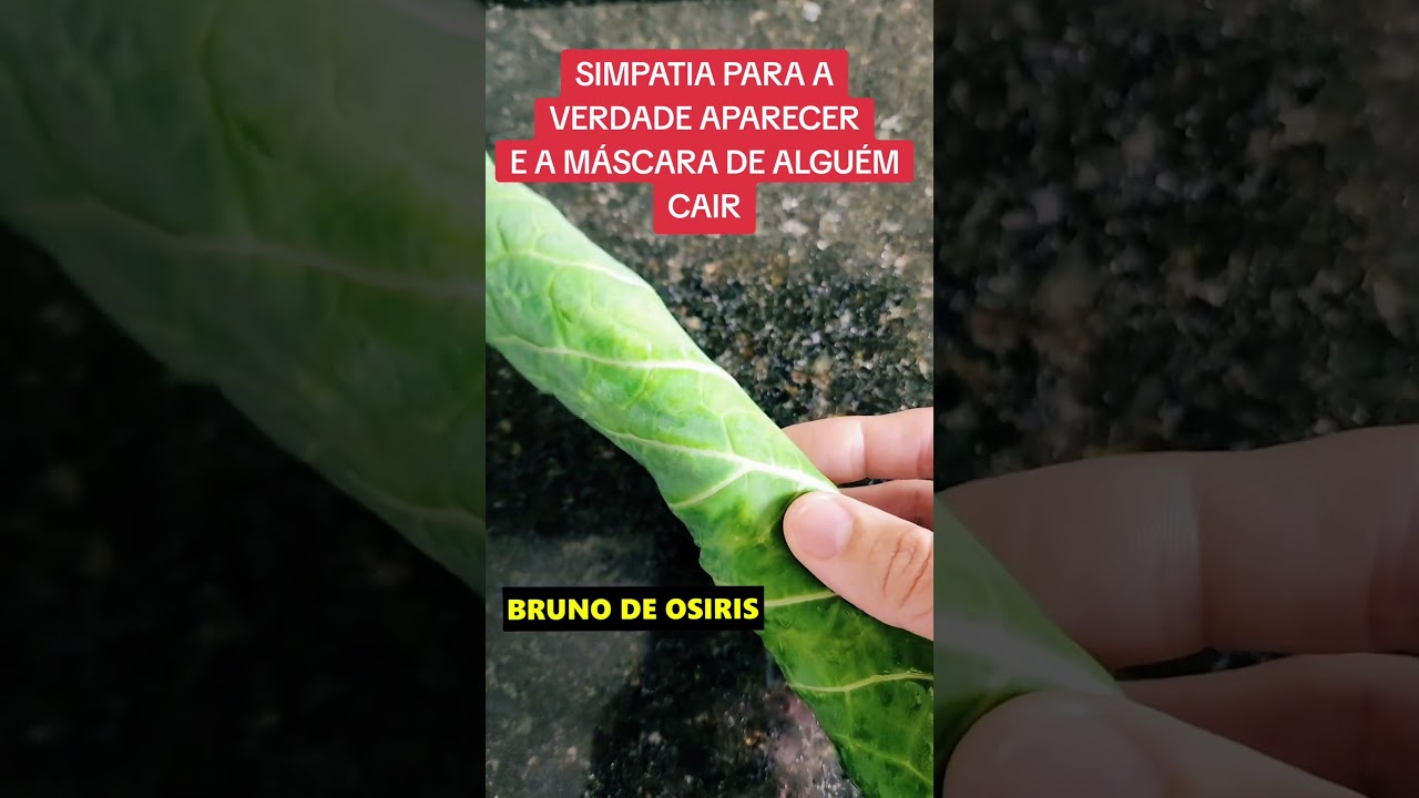 Read more about the article #macumba #religião #umbanda #simpatias #simpatia #bruxa #oração #ex