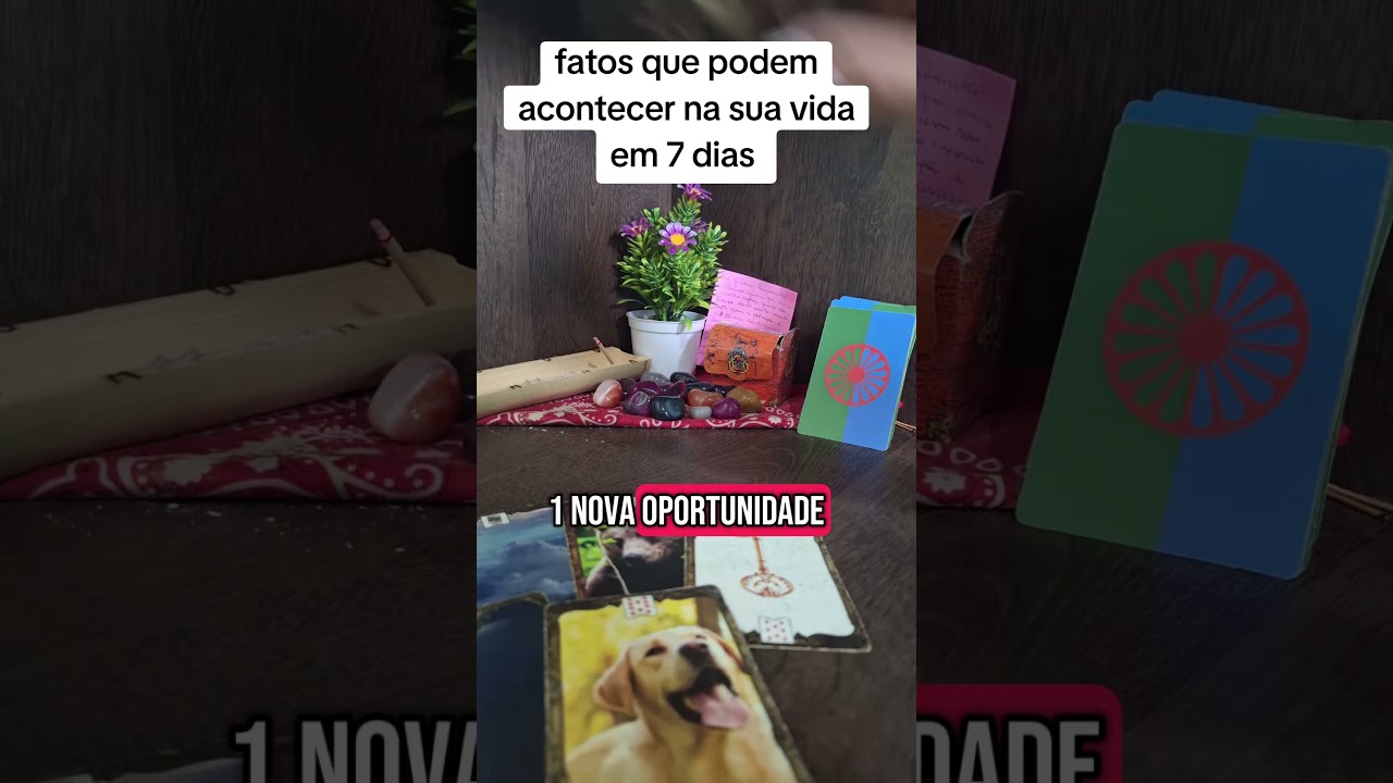 Read more about the article o que vem pra sua semana nos próximos sete dias #tarot #baralhociganogratis #espiritualidade