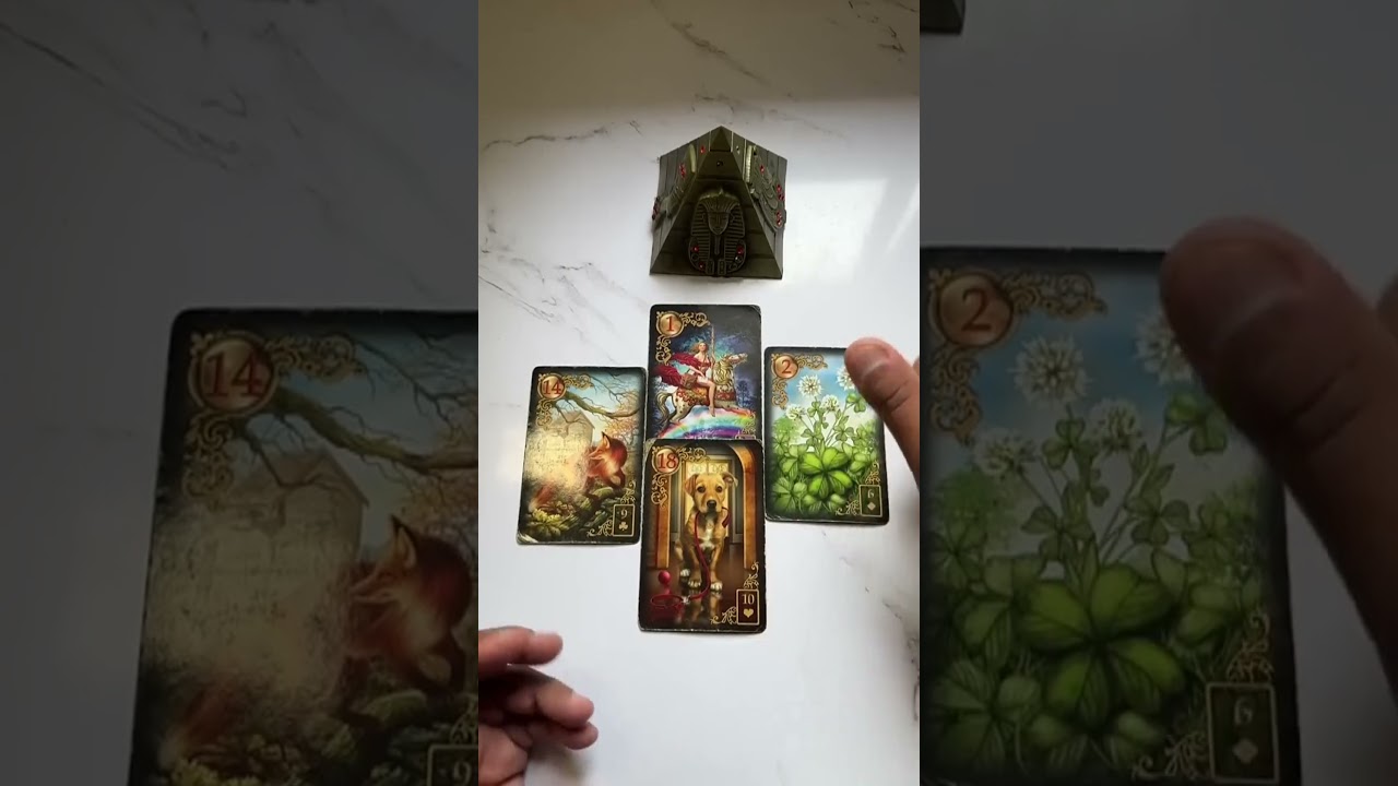 Read more about the article Vocês vão ter uma reconciliação! #tarot #cartomante #tarotreadig #tarotdehoje