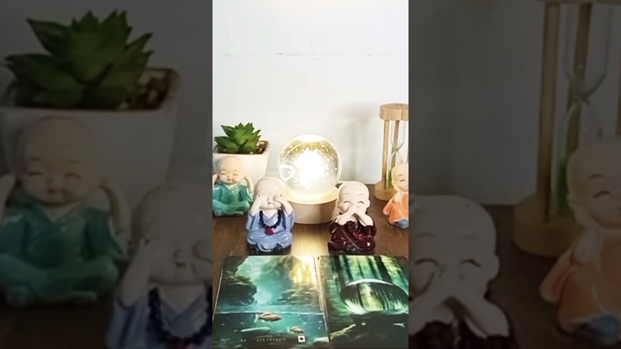 Read more about the article Recado do dia 🍀 15/07/2025 #tarot