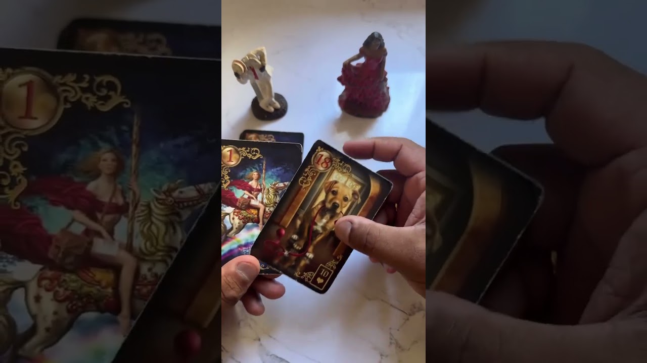 Read more about the article Revelação é espetacular e urgente! #tarot #tarotdoamor  #tarotdehoje #tarotonline