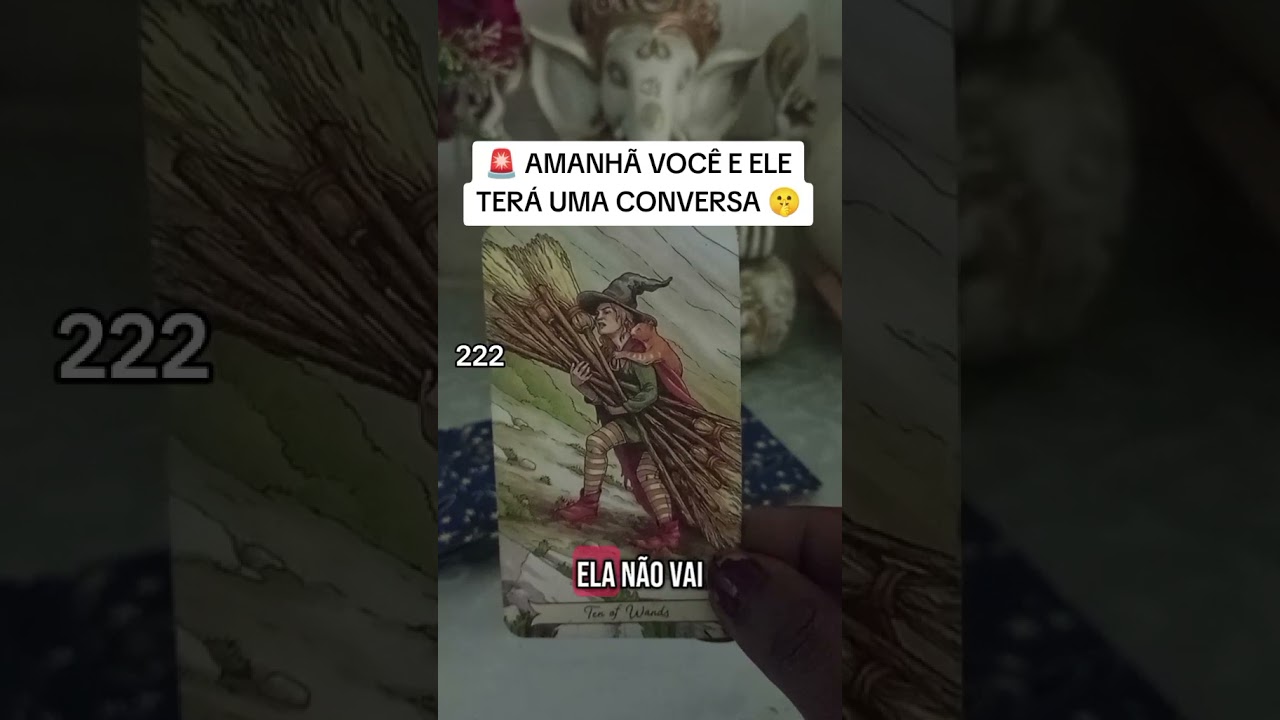 Read more about the article #tarotdodia #tarot #amarração #oraculo #baralhocigano #interativo #amor #ritual #leituradecartas #fy