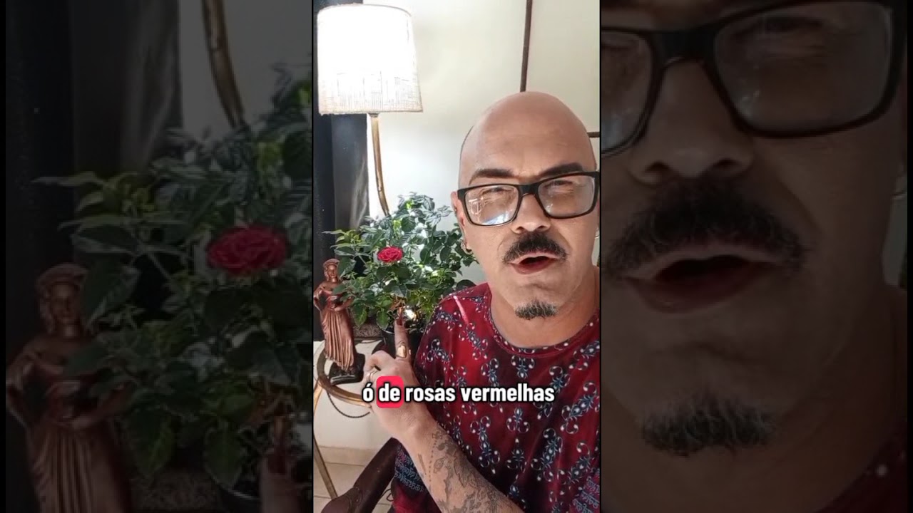 Read more about the article 🌹💘 SIMPATIA DA ROSEIRA – Faça seu amor se apaixonar ainda mais por você! 💘🌹