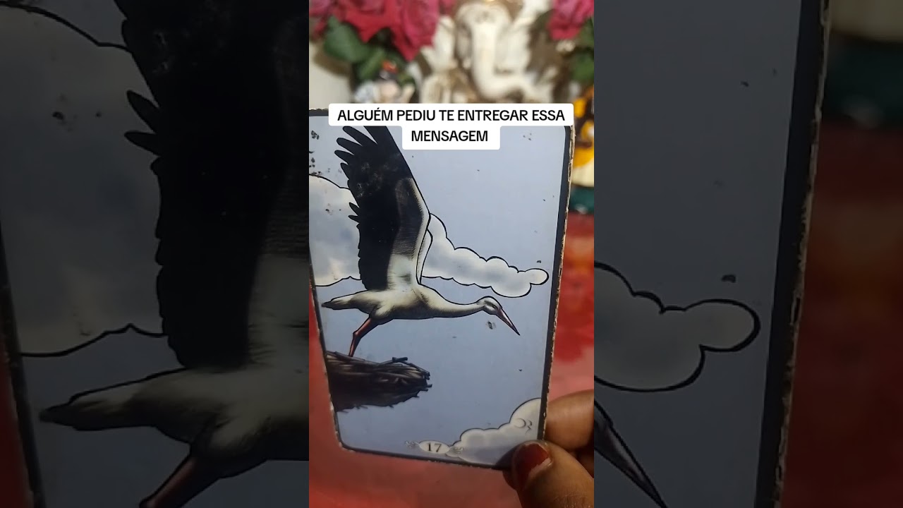 Read more about the article 💫Previsão do dia #tarot #gratidão #universo #leidaatraçãotarot #baralhocigano #tarô #taro #tarothoje