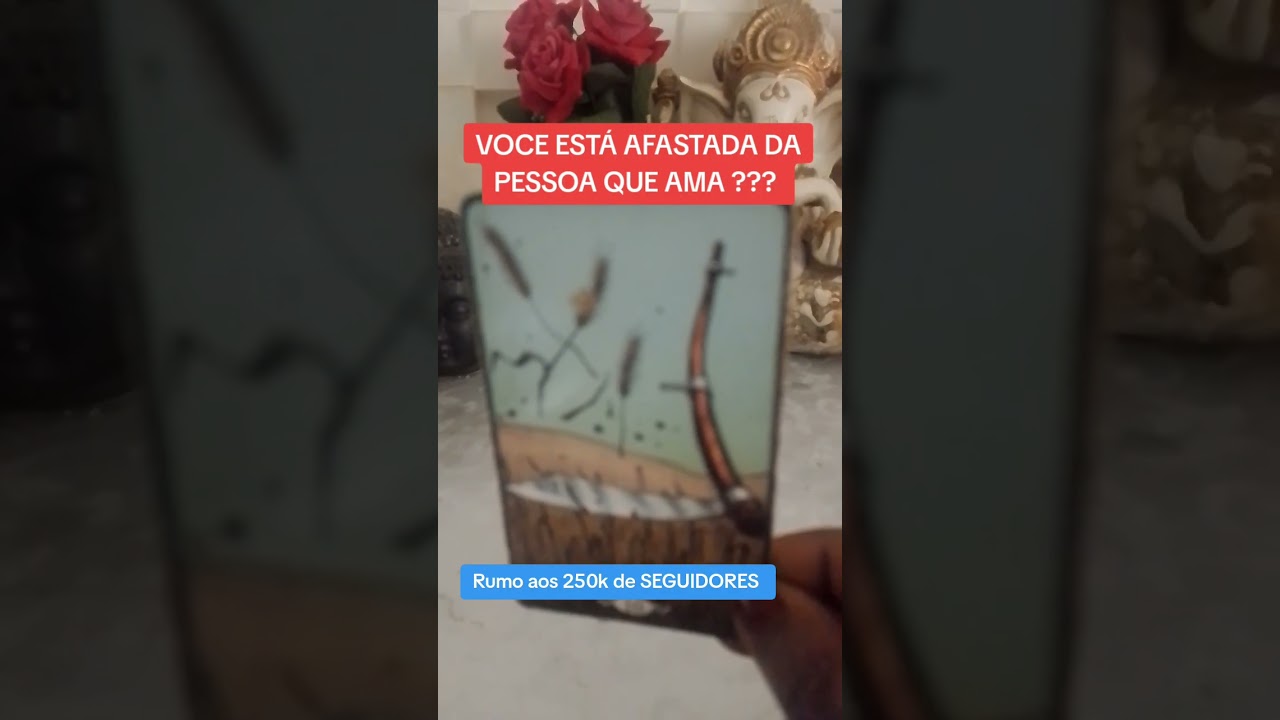 Read more about the article Seu DESTINO no TAROT🔮 #tarot #cartomante #tarotonlaine #tarotdiario #ciganaesmeralda #vozdaintuicao