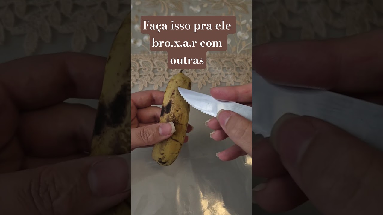 Read more about the article Simpatia do broxamento!