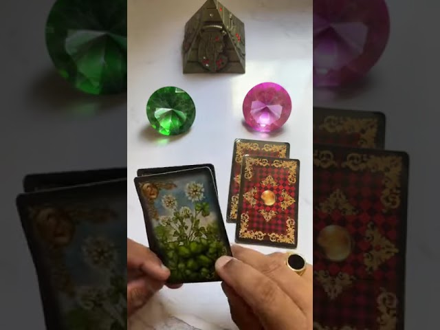 Read more about the article O que vai acontecer em sete dias na sua vida? #tarot #tarotonline #tarotdehoje #tarotdoamor