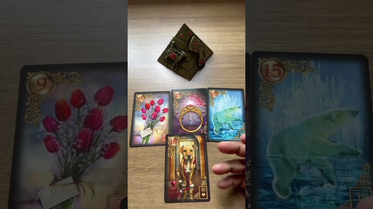 Read more about the article Preste Atenção no Contato desta pessoa! #tarot #tarotgratis #tarotdehoje #taro #tarôs