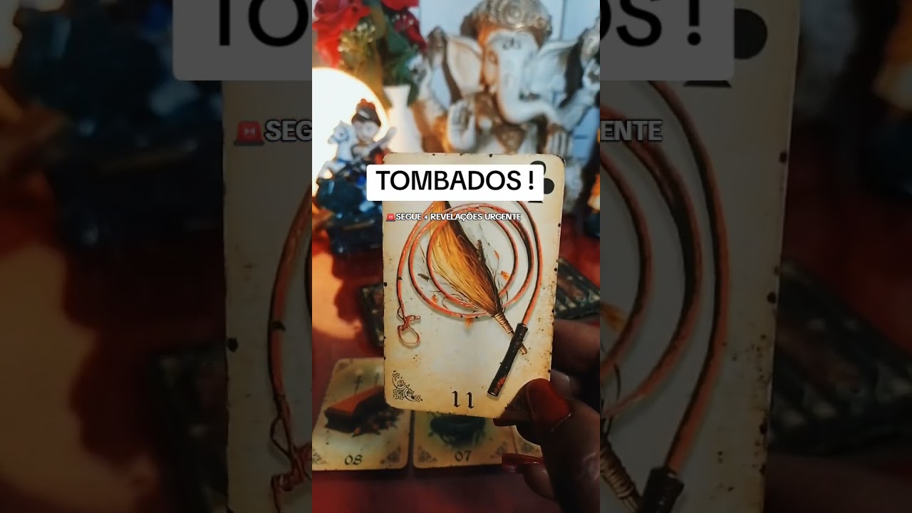 Read more about the article 💫Previsão do dia #tarot #gratidão #universo #leidaatraçãotarot #baralhocigano #tarô #taro #tarothoje