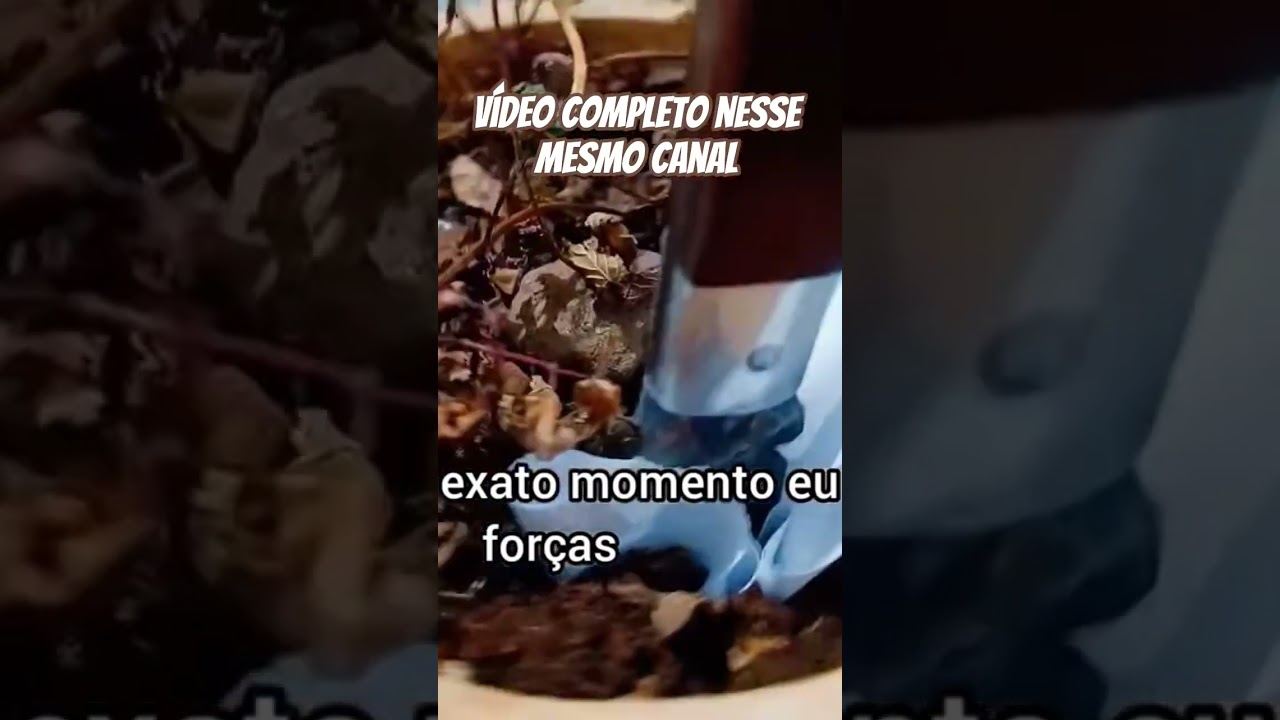 Read more about the article SIMPATIA FORTISSIMA COM TERRA DE VASO