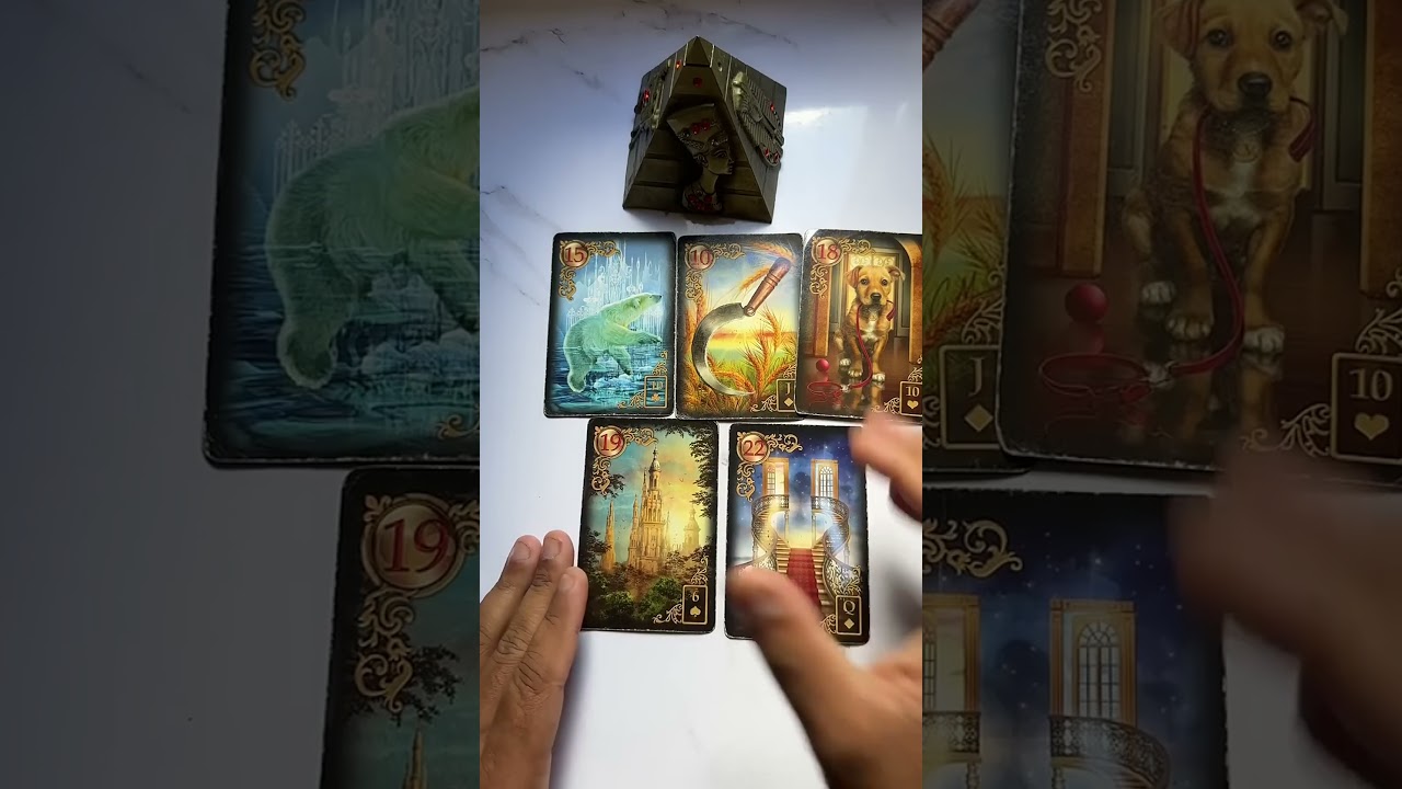 Read more about the article Você deve demonstrar seus sentimentos? #tarot #tarotonline #tarotdehoje #tarotdoamor