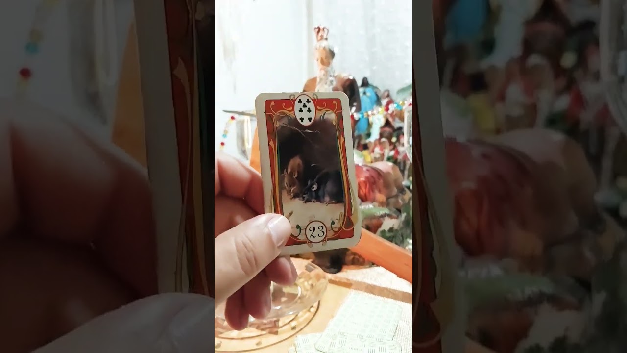 Read more about the article CARTA DO DIA #cartadodia #baralhocigano #tarotcigano #tarot #cartasciganas #cartas #oraculo #fé #luz