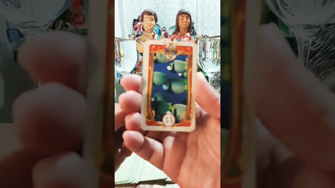 Read more about the article CARTA DO DIA #energia #cartadodia #baralho #baralhocigano #tarot #tarotcigano #taro #cartasciganas