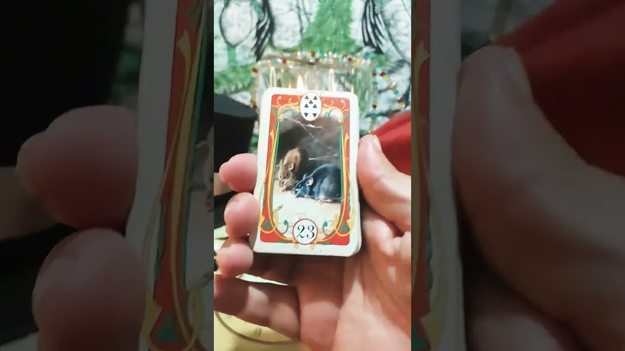 Read more about the article CARTA DO DIA: VASSOURA DE BRUXA #tarot #cartas #cartasciganas #tarotcigano #baralho #baralhocigano