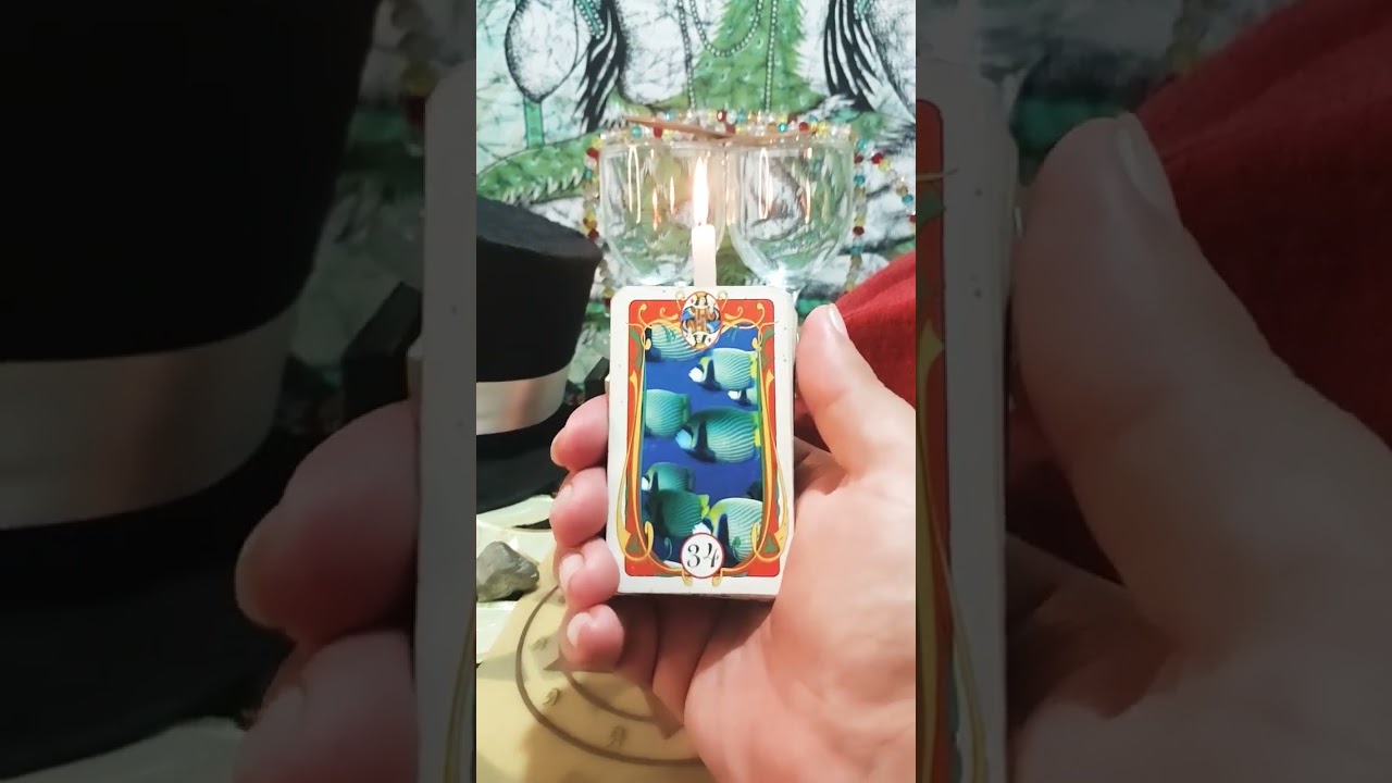 Read more about the article CARTA DO DIA:PIRITA #cartasciganas #baralhocigano #tarotcigano #tarot #mensagem #espiritualidade #fé