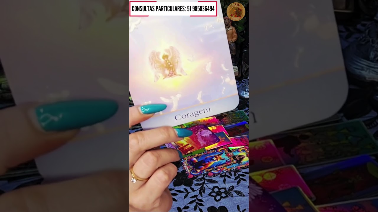 Read more about the article 🚀Conselho do Jardim dos Anjos para você!