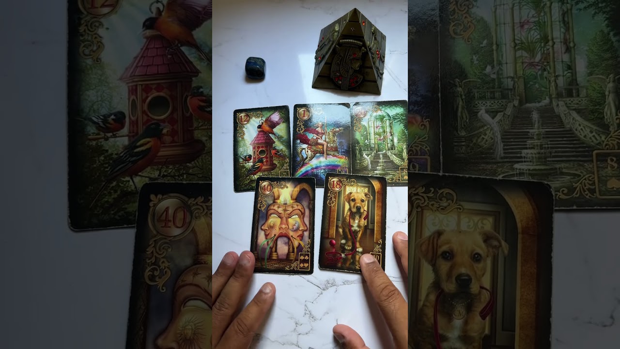 Read more about the article Ele está sentindo muita sua falta! #tarô #tarot #tarotonline #tarotgratis