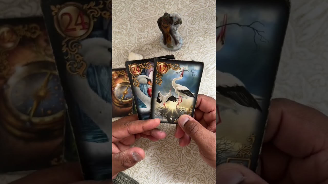 Read more about the article Ele vai me procurar? #tarot #tarotgratis #tarotdehoje #taro #tarô