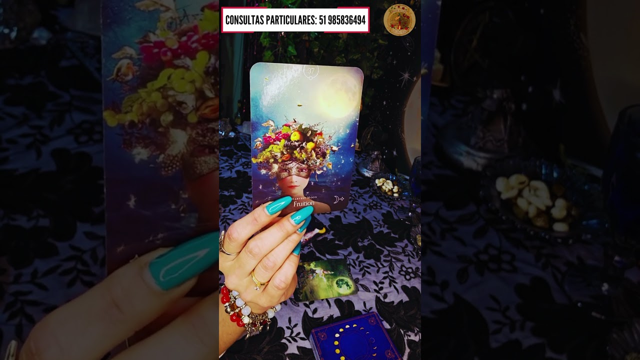 Read more about the article 🚀Recado do Oráculo da Lua!