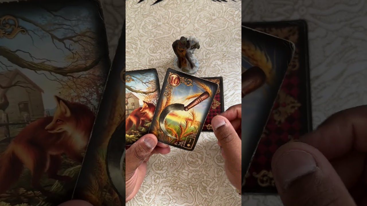 Read more about the article Revelação pro mês de novembro! #tarot #tarotgratis #tarotdehoje #taro #tarô