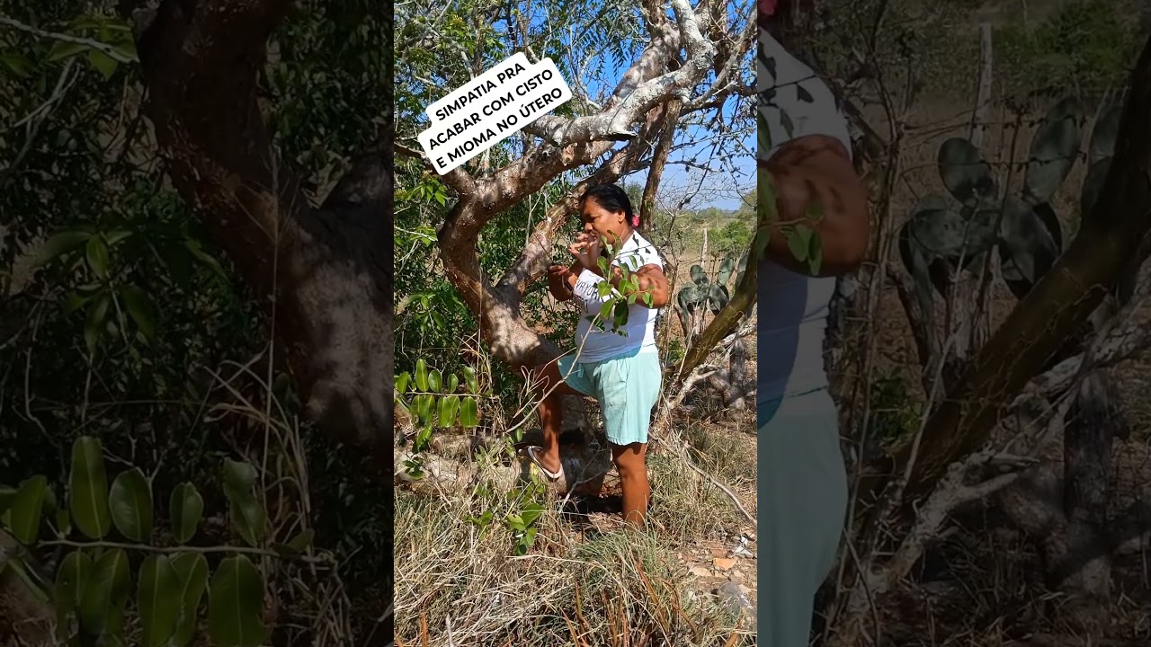 Read more about the article SIMPATIA