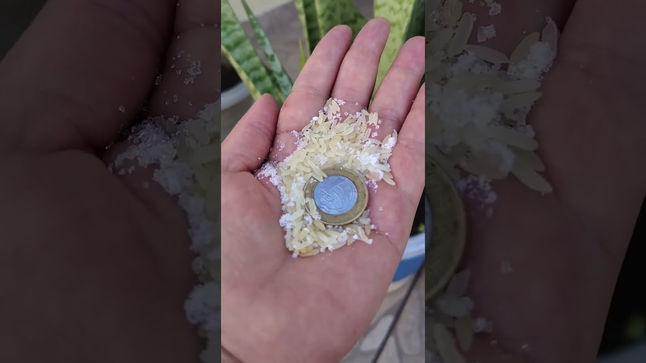 Read more about the article #simpatia Atraí dinheiro, inesperado ,clientes e prosperidade #shorts #short #motivation