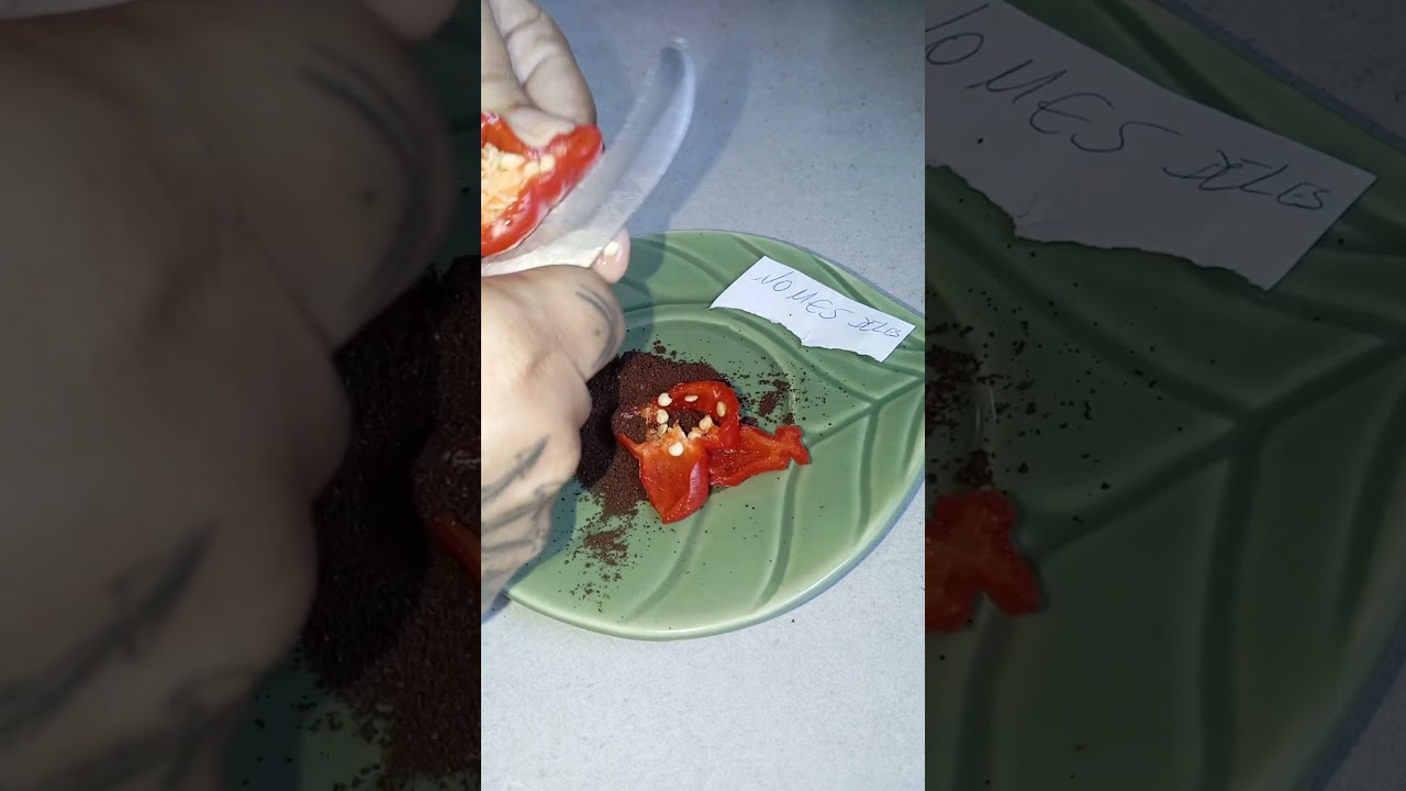 Read more about the article simpatia causar brigas