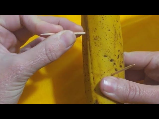 Read more about the article 🔴Simpatia da banana para trazer a pessoa amada comprovado 😮 #003