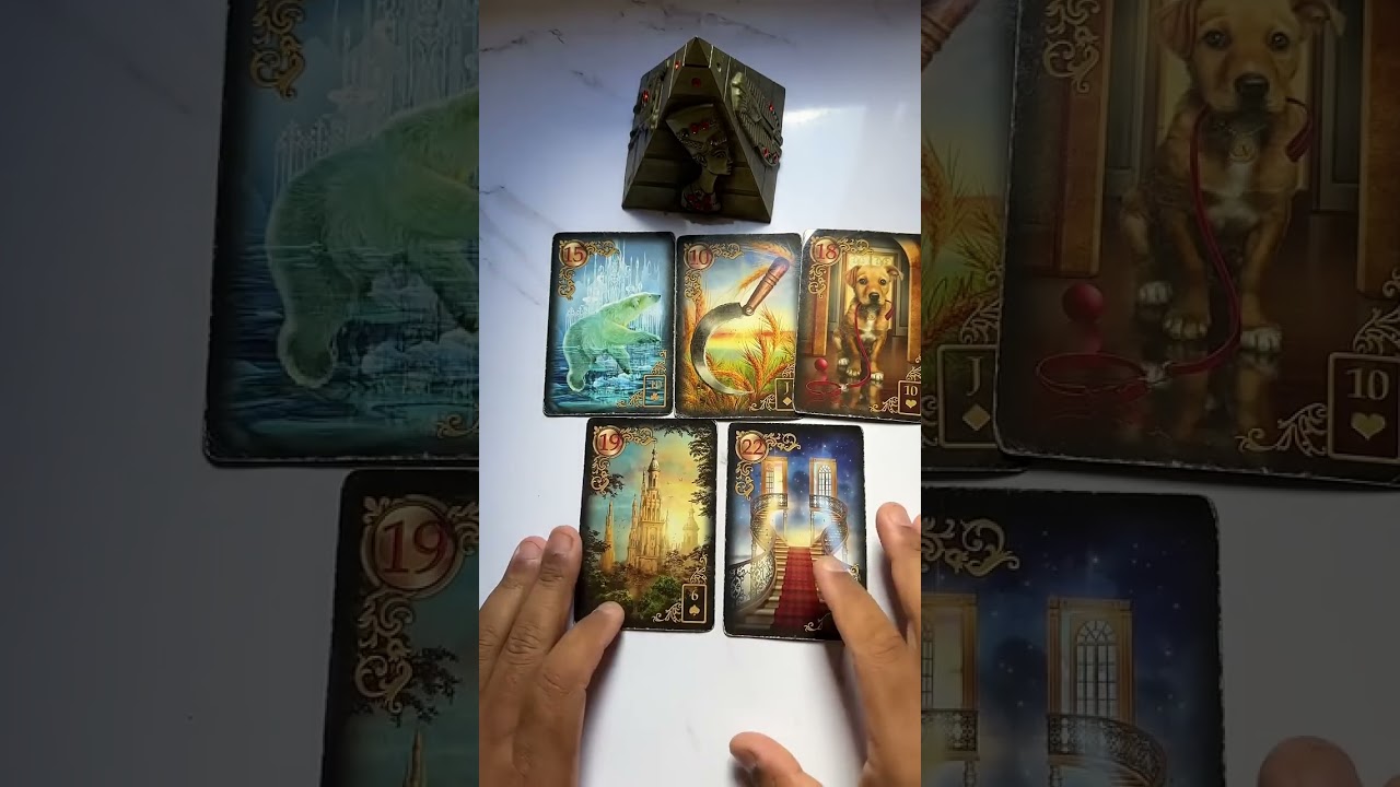 Read more about the article Você deve demonstrar seus sentimentos? #tarot #tarotgratis #tarotdehoje #taro #tarô