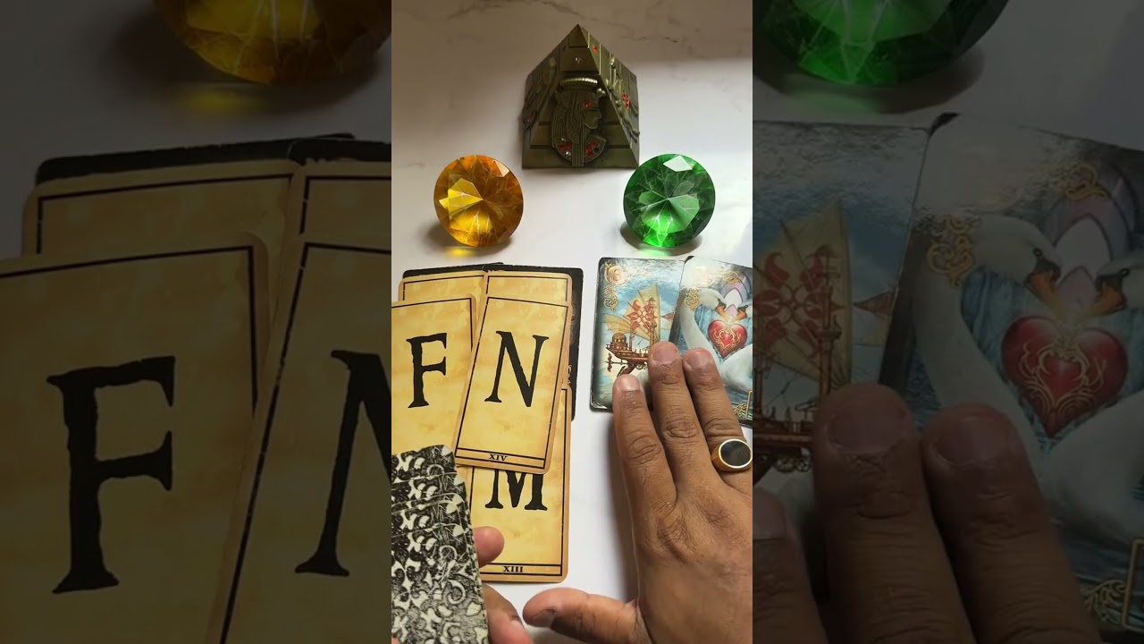 Read more about the article Você deve procurar essa pessoa #tarotdehoje #tarot #tarotdoamor #tarotonline