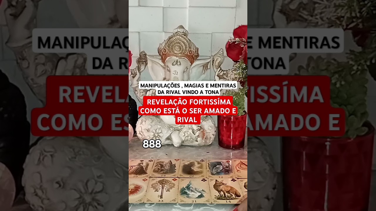 Read more about the article ❤️ Haverá reconciliação e procura #tarot #tarotcoletivo #taro #tarotreadings #tarotgratis