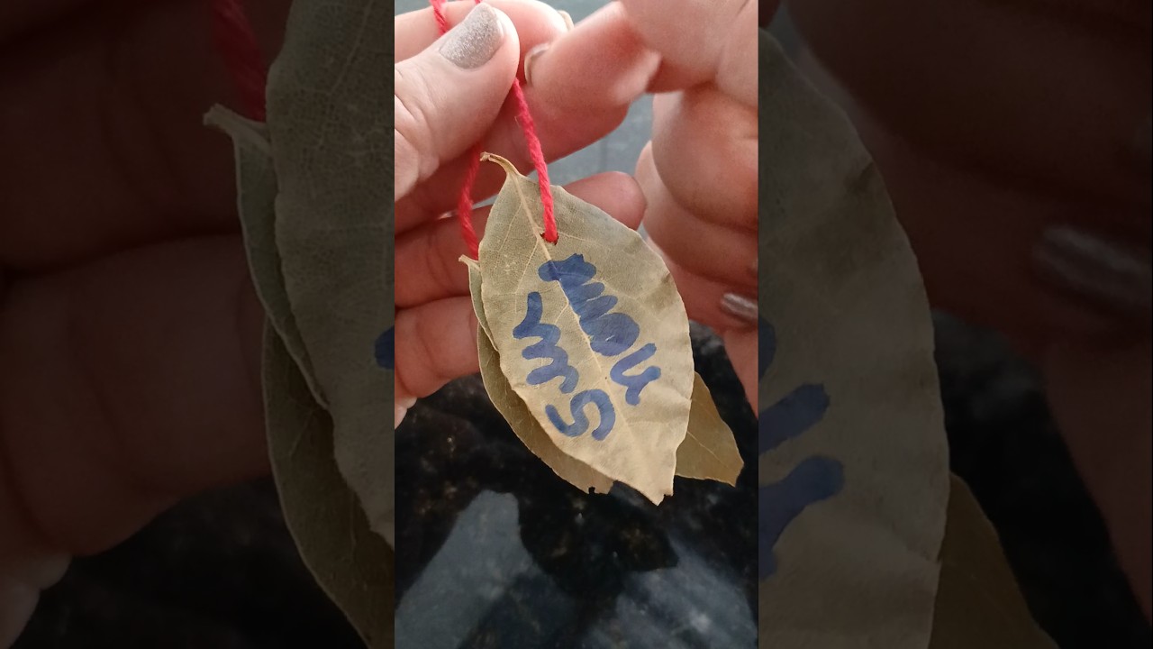 Read more about the article NÃO PODE ARREBENTAR ANTES DA HORA!! #shortes #dicas #loro #prosperidade #simpatia #loucosporfutebol