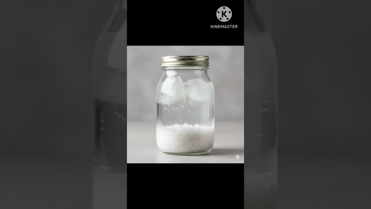 Read more about the article Nova simpatia porreta contra inimigos neutralize eles