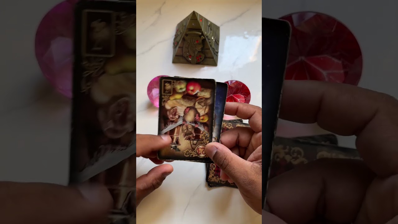 Read more about the article O tarot responde: se você está apaixonada(o) por ele(a)? #shorts #tarot #tarotdoamor