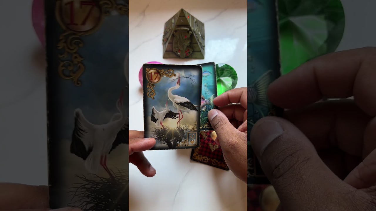 Read more about the article Próxima atitude dessa pessoa? #baralhocigano #tarot #oraculo #tarotdehoje
