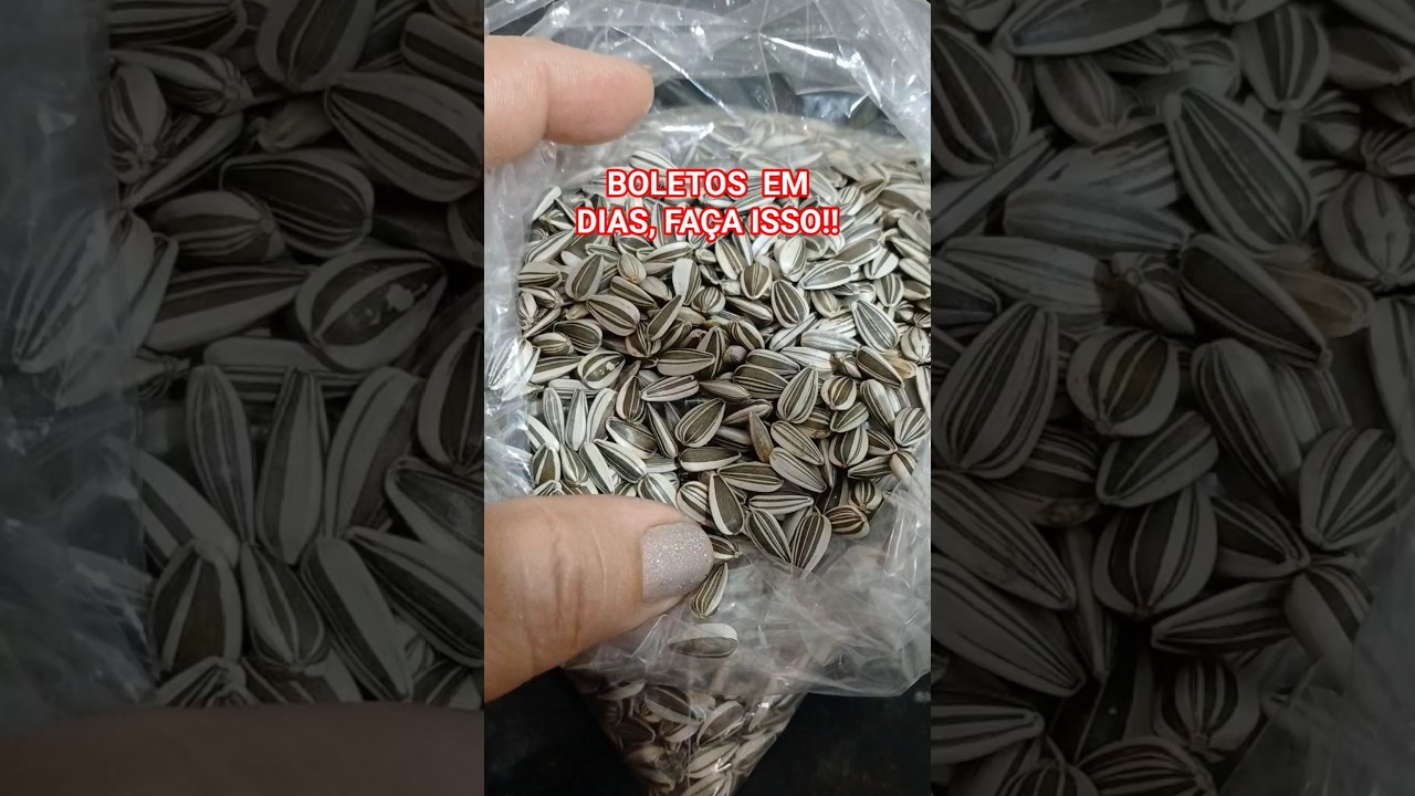 Read more about the article QUER QUITAR TODOS OS BOLETOS, FAÇA ISSO!! #shortes #boletos #vida #PROSPERIDADE #fartura #simpatia