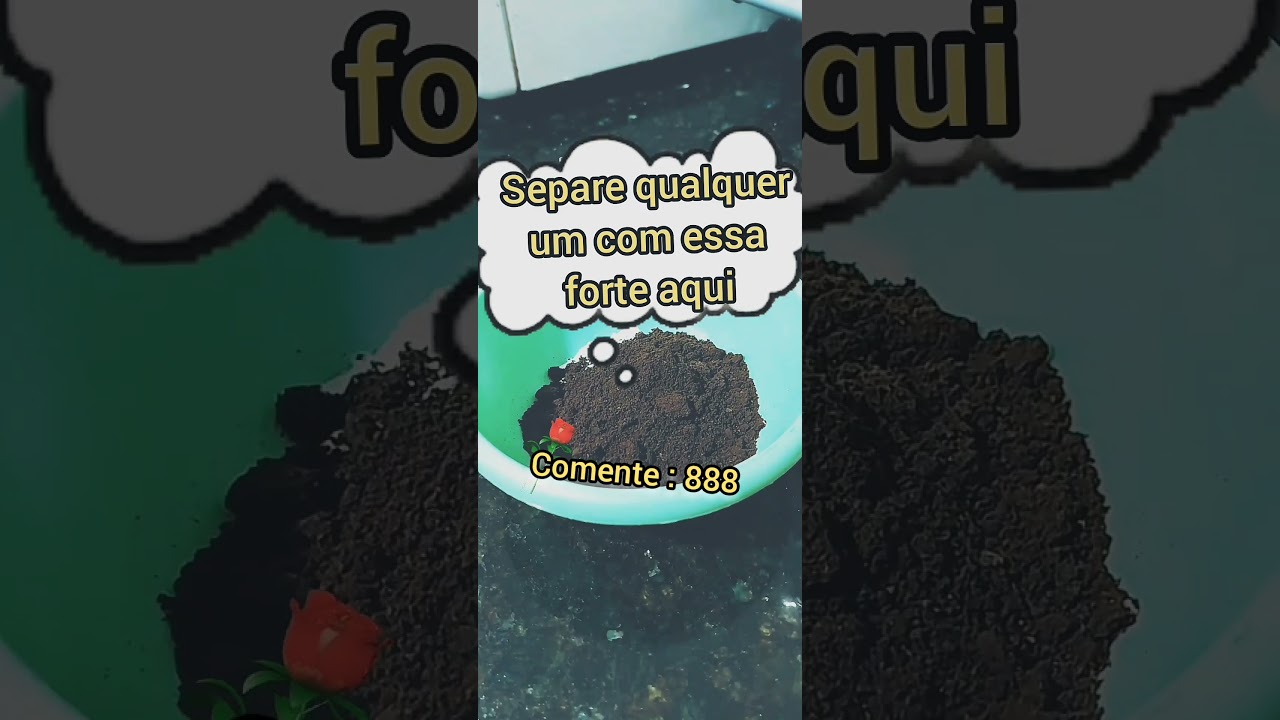 Read more about the article separa ate galho de arvore, poderosa simpatia de separação #simpatia #magia #simpatias #feitiço