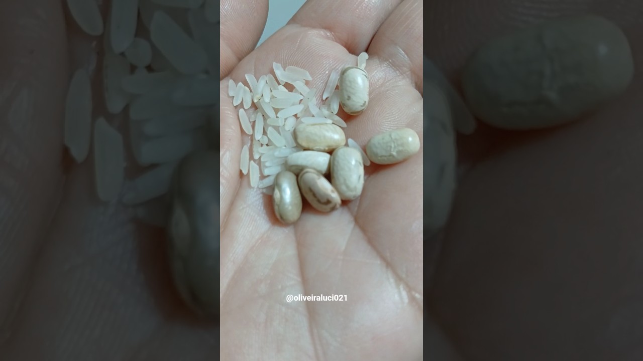 Read more about the article SETE GRÃOS PODE MUDAR SUA VIDA!! #shortes #grãos #arroz #simpatia #dicas