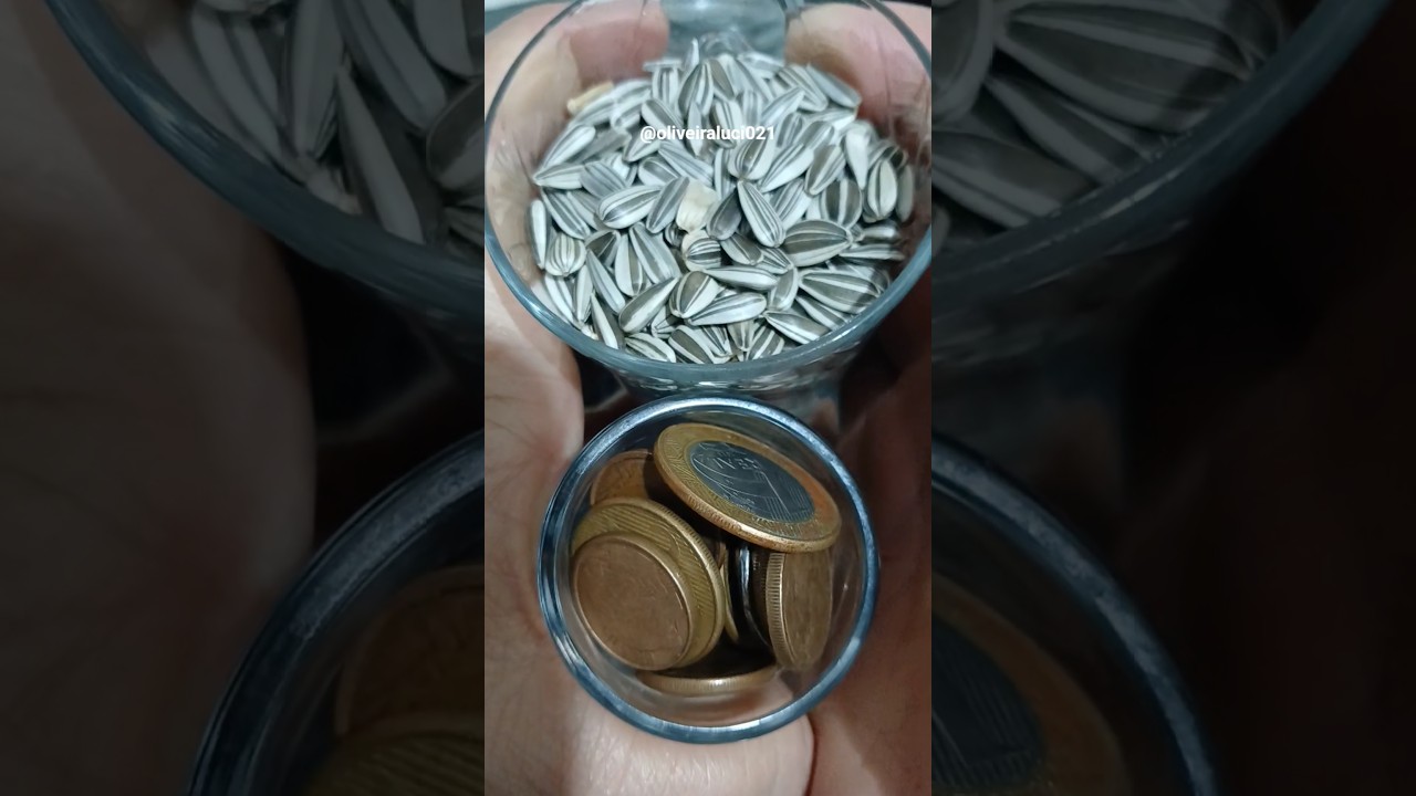 Read more about the article SEU ANO NOVO SERÁ SO VITÓRIA E PROSPERIDADE! #shortes #dicas #simpatia #prosperidade #vitoria