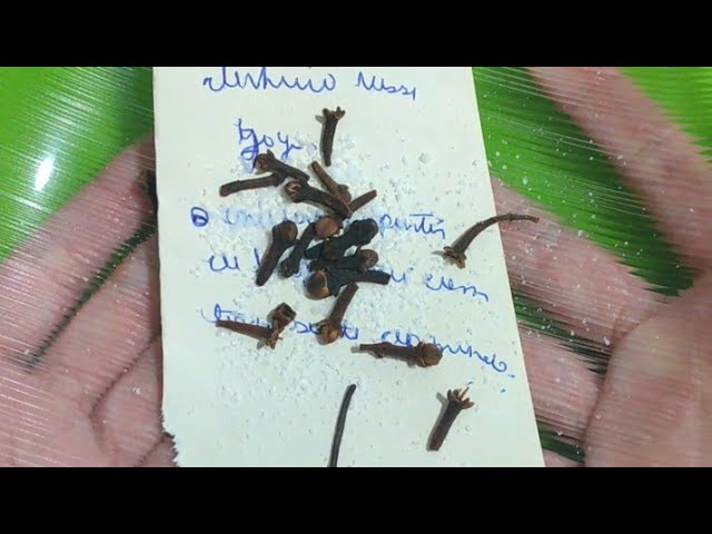 Read more about the article 🔴SIMPATIA DA LOTÉRICA PARA ATRAIR SORTE E DINHEIRO!!!💰#027