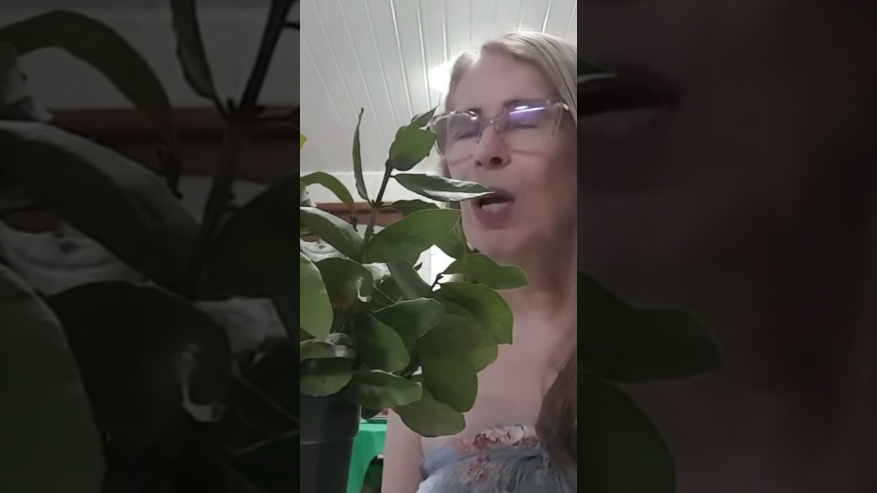 Read more about the article SIMPATIA  DO DINHEIRO FÁCIL